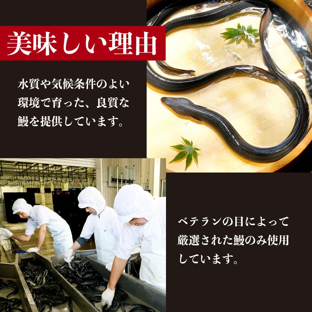 こだわりの鰻を育てる